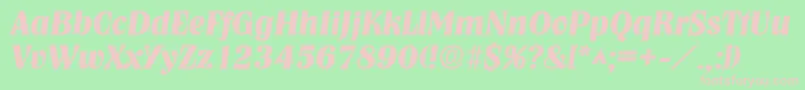 NashvillelhBoldItalic Font – Pink Fonts on Green Background