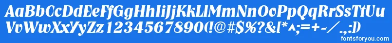 フォントNashvillelhBoldItalic – 青い背景に白い文字