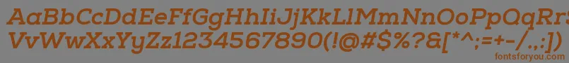 NexaSlabXboldOblique-Schriftart – Braune Schriften auf grauem Hintergrund