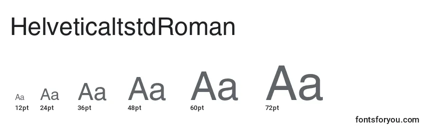 HelveticaltstdRoman Font Sizes