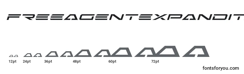 Freeagentexpandital Font Sizes