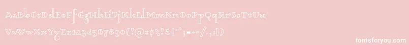 Dagerotypos0003 Font – White Fonts on Pink Background