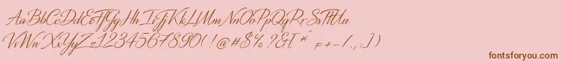 DistantStrokeMedium Font – Brown Fonts on Pink Background