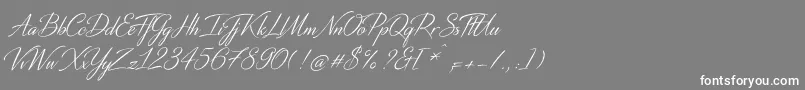 DistantStrokeMedium Font – White Fonts on Gray Background
