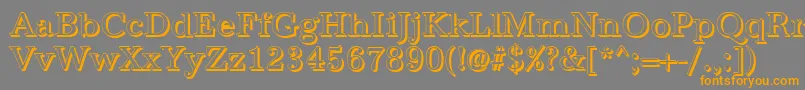 AntiquashRegular Font – Orange Fonts on Gray Background