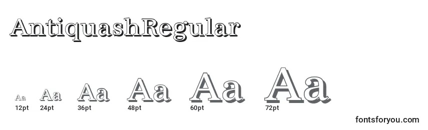AntiquashRegular Font Sizes