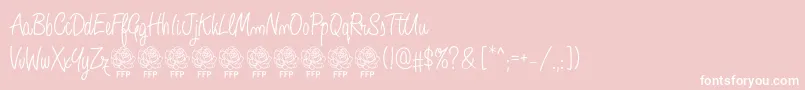 AngeliqueRoseFontFfp Font – White Fonts on Pink Background