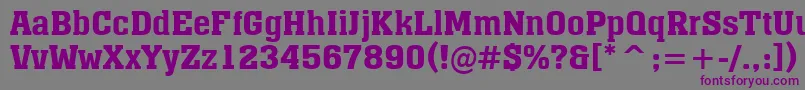 AMonumentoDemibold-fontti – violetit fontit harmaalla taustalla