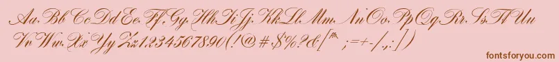HobsonRegular Font – Brown Fonts on Pink Background