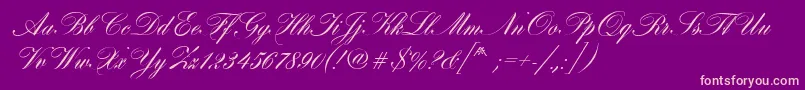 HobsonRegular Font – Pink Fonts on Purple Background