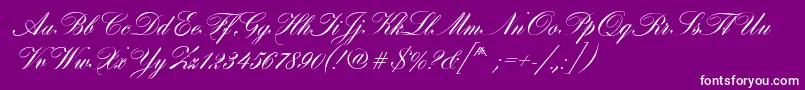HobsonRegular Font – White Fonts on Purple Background