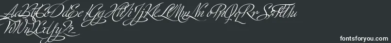 MinistryScriptStylisticHff Font – White Fonts on Black Background