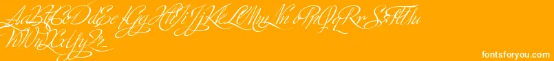 MinistryScriptStylisticHff-Schriftart – Weiße Schriften auf orangefarbenem Hintergrund