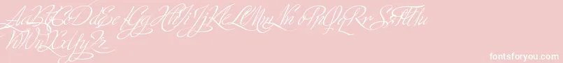 MinistryScriptStylisticHff-Schriftart – Weiße Schriften auf rosa Hintergrund