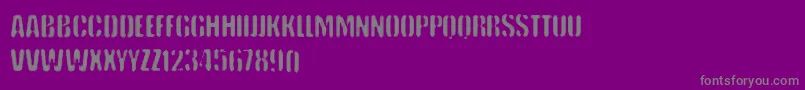 VtksKeystorm-Schriftart – Graue Schriften auf violettem Hintergrund