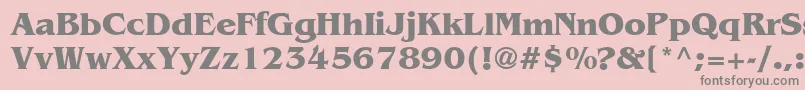 AgBenguiatCyrBoldBold Font – Gray Fonts on Pink Background