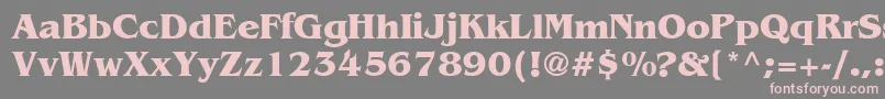 AgBenguiatCyrBoldBold Font – Pink Fonts on Gray Background