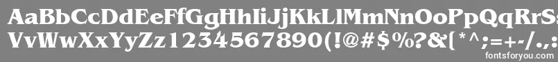 フォントAgBenguiatCyrBoldBold – 灰色の背景に白い文字