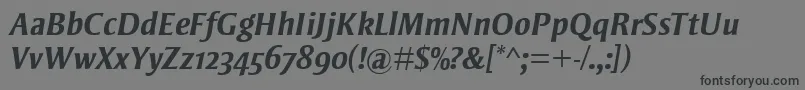 StrayhornMtOsfBoldItalic Font – Black Fonts on Gray Background