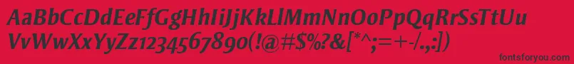 StrayhornMtOsfBoldItalic Font – Black Fonts on Red Background