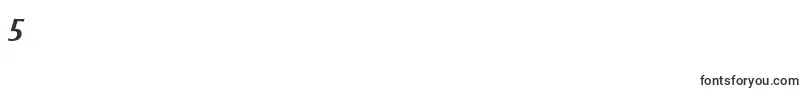 StrayhornMtOsfBoldItalic Font – Fonts for Digit 5