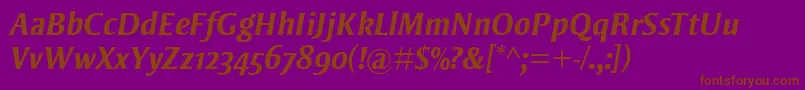 StrayhornMtOsfBoldItalic Font – Brown Fonts on Purple Background