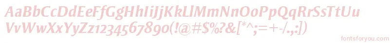 StrayhornMtOsfBoldItalic Font – Pink Fonts on White Background