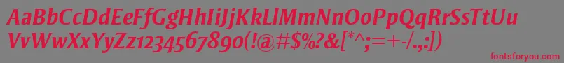 StrayhornMtOsfBoldItalic Font – Red Fonts on Gray Background