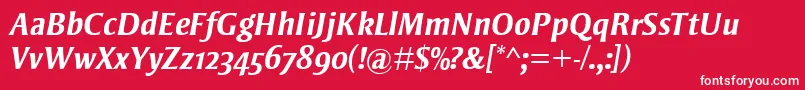 StrayhornMtOsfBoldItalic Font – White Fonts on Red Background