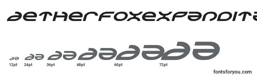 Aetherfoxexpandital Font Sizes