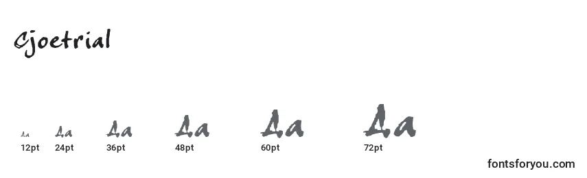 Размеры шрифта Cjoetrial (107777)