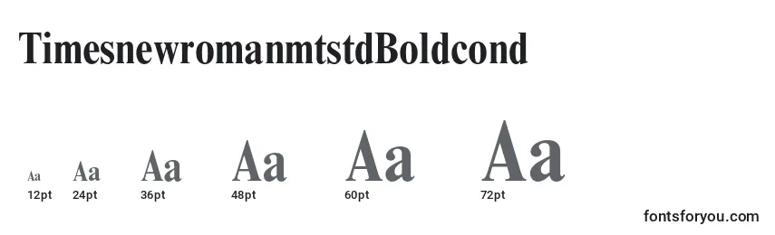 TimesnewromanmtstdBoldcond Font Sizes