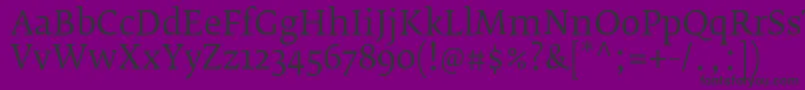 FedraserifbproBook Font – Black Fonts on Purple Background