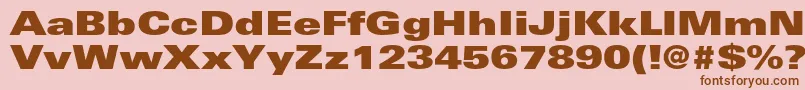 UniversltstdXblackex Font – Brown Fonts on Pink Background