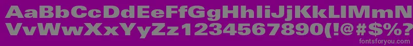 UniversltstdXblackex Font – Gray Fonts on Purple Background