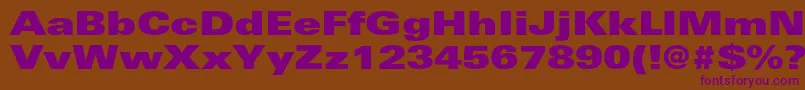 UniversltstdXblackex Font – Purple Fonts on Brown Background