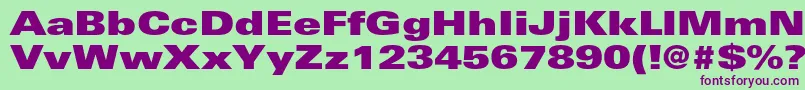 Czcionka UniversltstdXblackex – fioletowe czcionki na zielonym tle