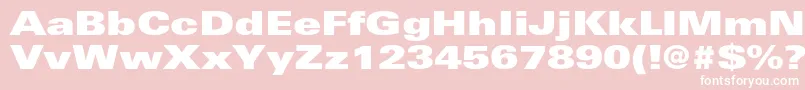 UniversltstdXblackex Font – White Fonts on Pink Background