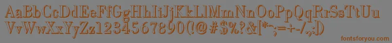 BodonishadowLightRegular Font – Brown Fonts on Gray Background