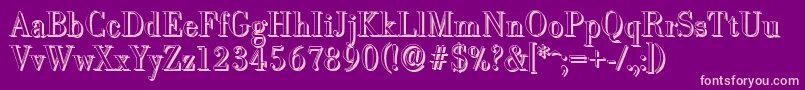 BodonishadowLightRegular Font – Pink Fonts on Purple Background