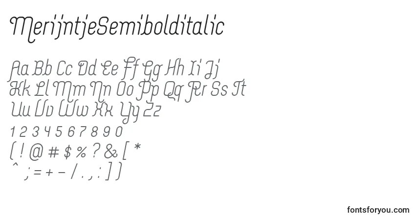 Fuente MerijntjeSemibolditalic - alfabeto, números, caracteres especiales