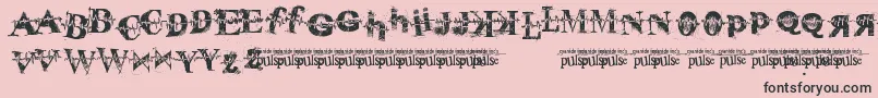 PulseVirgin Font – Black Fonts on Pink Background