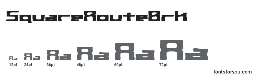 SquareRouteBrk Font Sizes