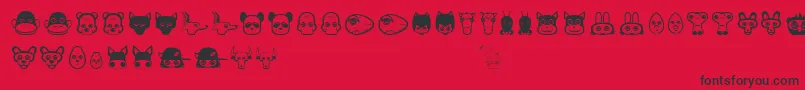 Plasticpets Font – Black Fonts on Red Background