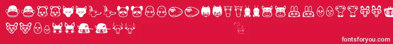 Plasticpets Font – White Fonts on Red Background