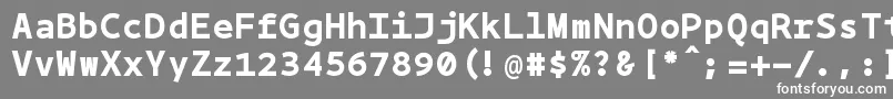 フォントBpmono ffy – 灰色の背景に白い文字