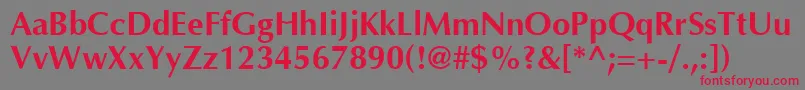 OptimaCyrBold Font – Red Fonts on Gray Background