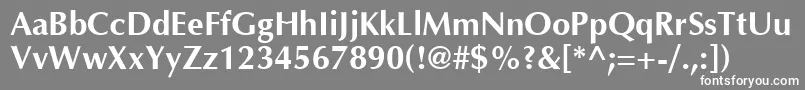 OptimaCyrBold Font – White Fonts on Gray Background