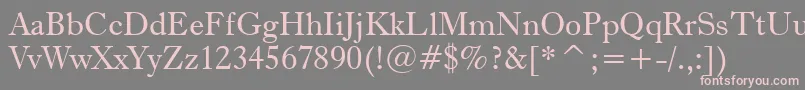 Dutch766Bt Font – Pink Fonts on Gray Background
