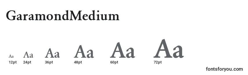Размеры шрифта GaramondMedium